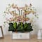 23" Cream & Pink Moth Orchid Arrangement in Decorative Wood Planter